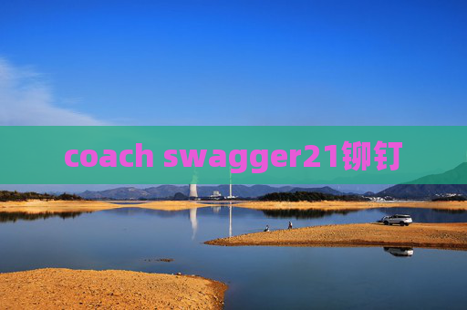 coach swagger21铆钉